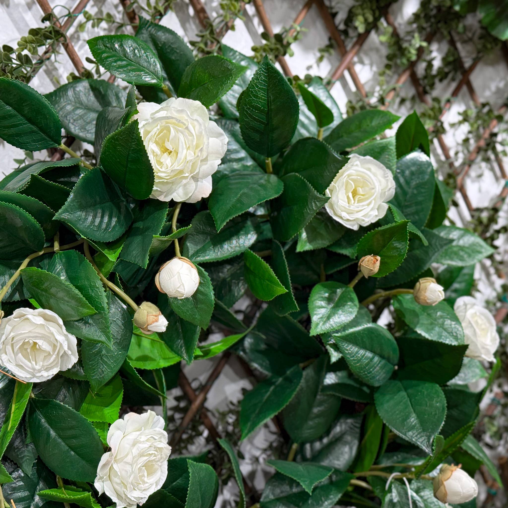 Mills Floral Company – wholesale Wreath – Camelia Flower Wreath - White - 26 Inch2