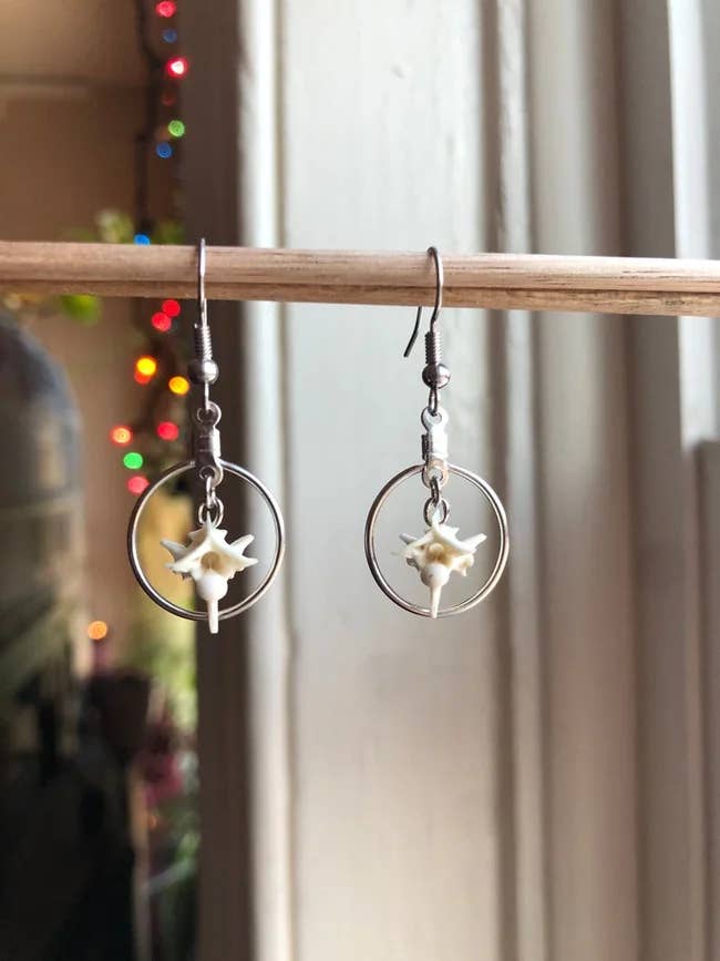 Rattlesnake Vertebrae Hoop Earrings oddities taxidermy for wholesale by Osteal Blossoms