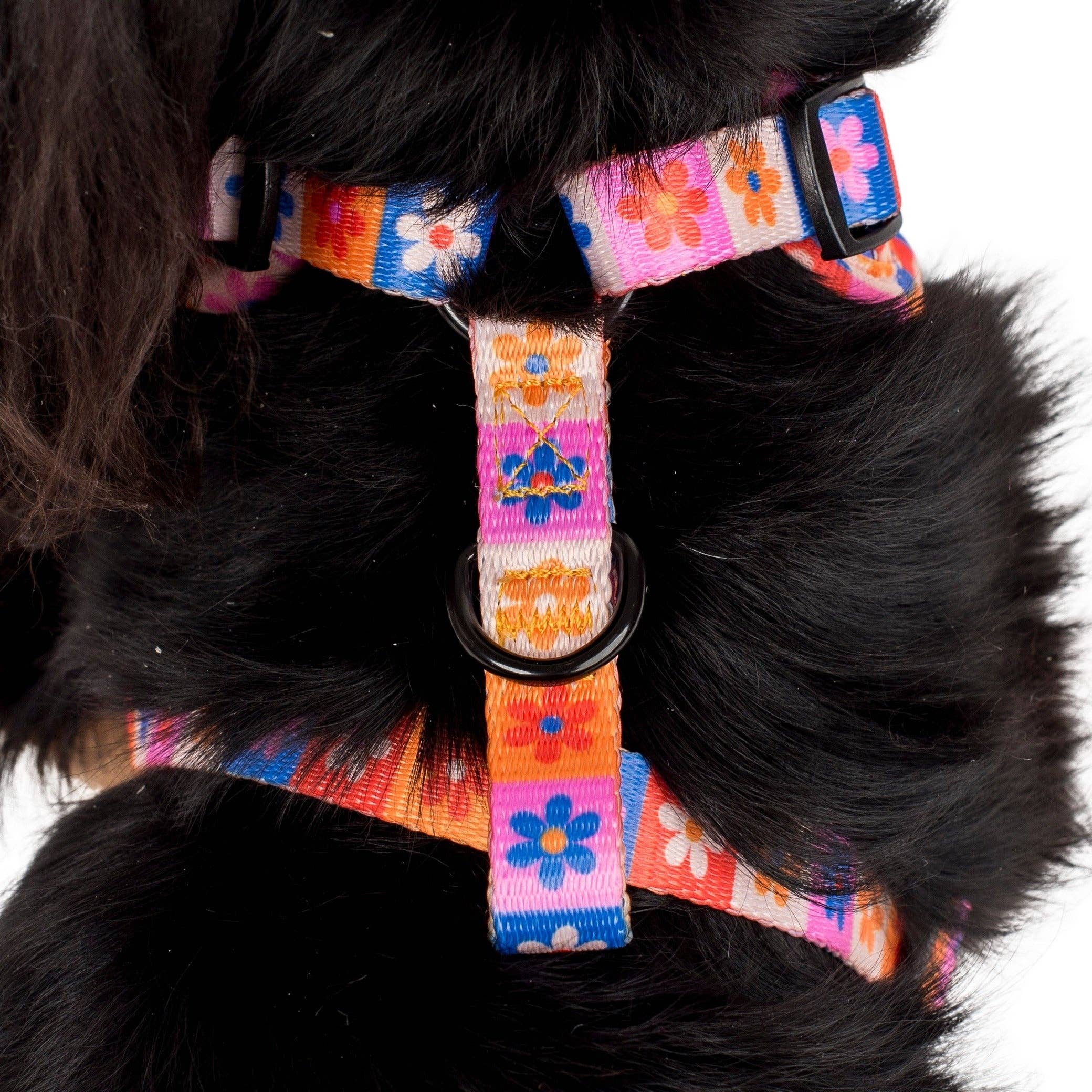 Pablo & Co. Boutique - Wholesale Pet Harness - Dog - Daisies For Days: Adjustable Dog Harness5