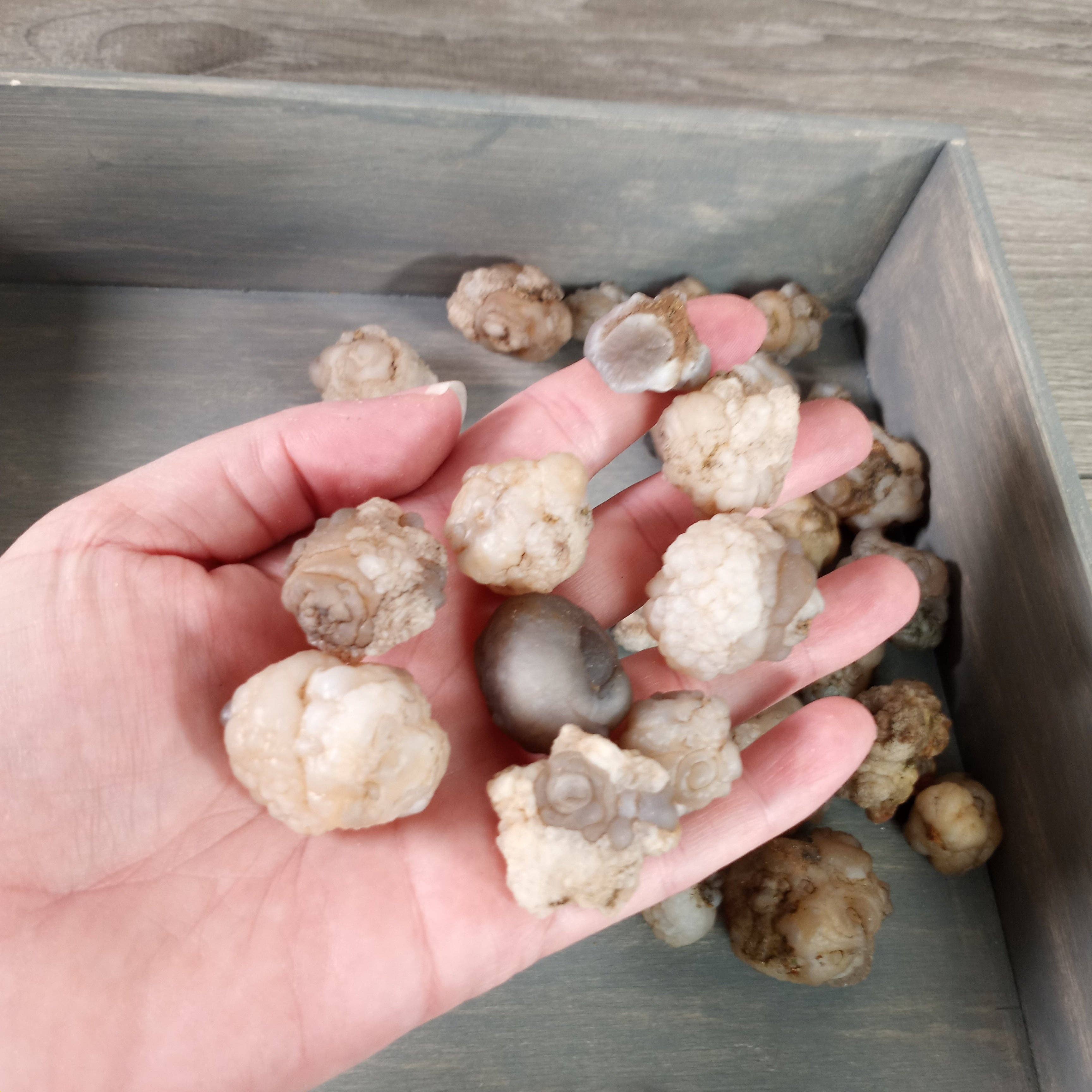 Keystone Crystals - Wholesale Spiritual Stone/Crystal - Bulk Gobi Agate Stones – 1 lb Lot for Crystal Shops1