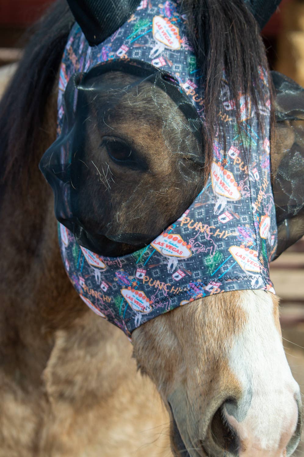 Schulz Equine - Wholesale Horseback Riding Gear - Lycra Fly Mask32