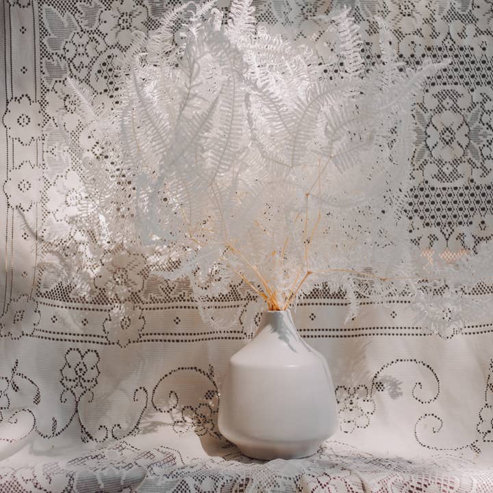 You Floral - Wholesale Dried/pressed flowers - White Preserved Fern - 15 stems