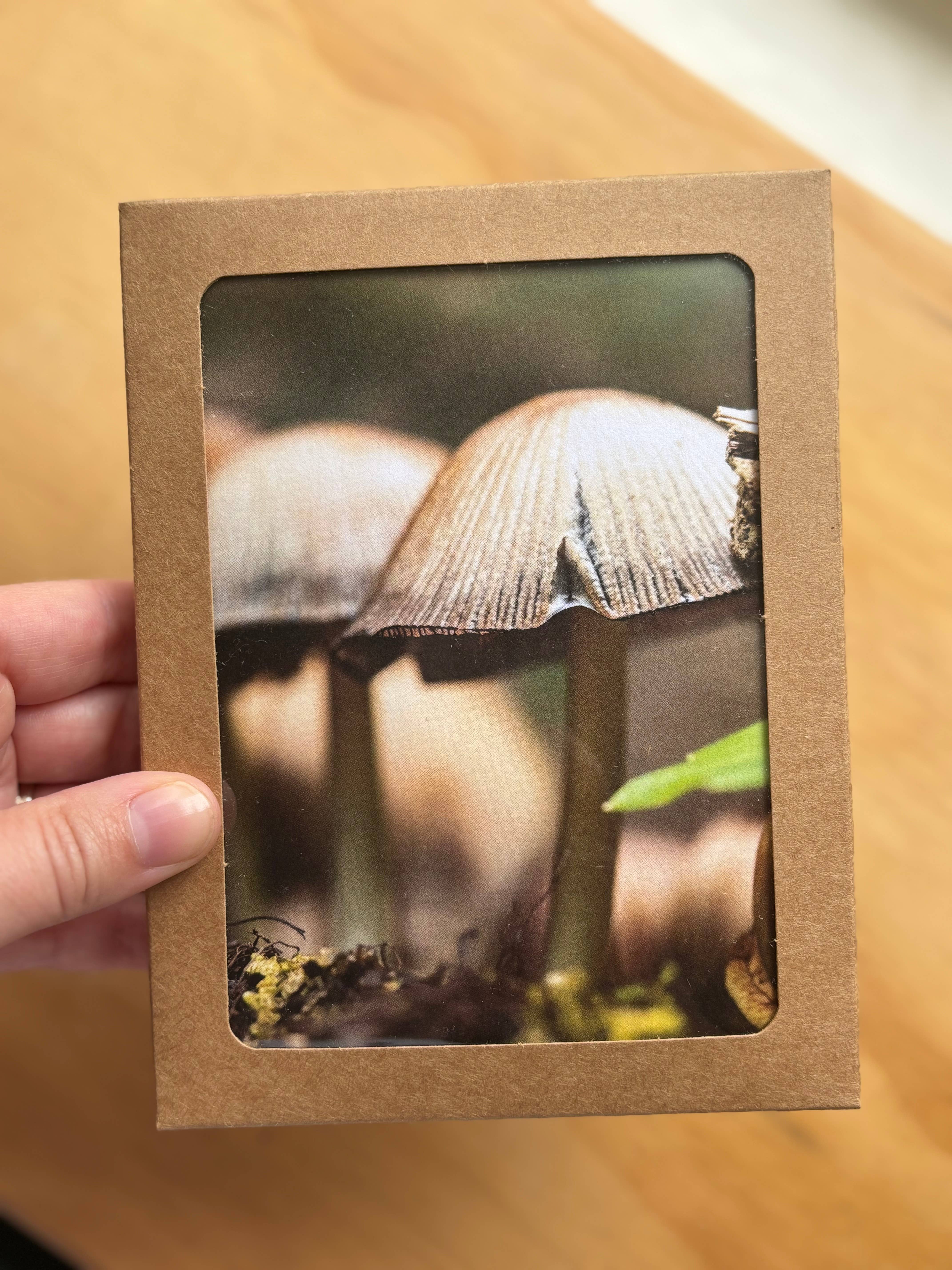 Andrea Morris Art - Wholesale Stationery/Notecard Set - Mushroom Card Variety Pack (5 Different Cards + Envelopes)