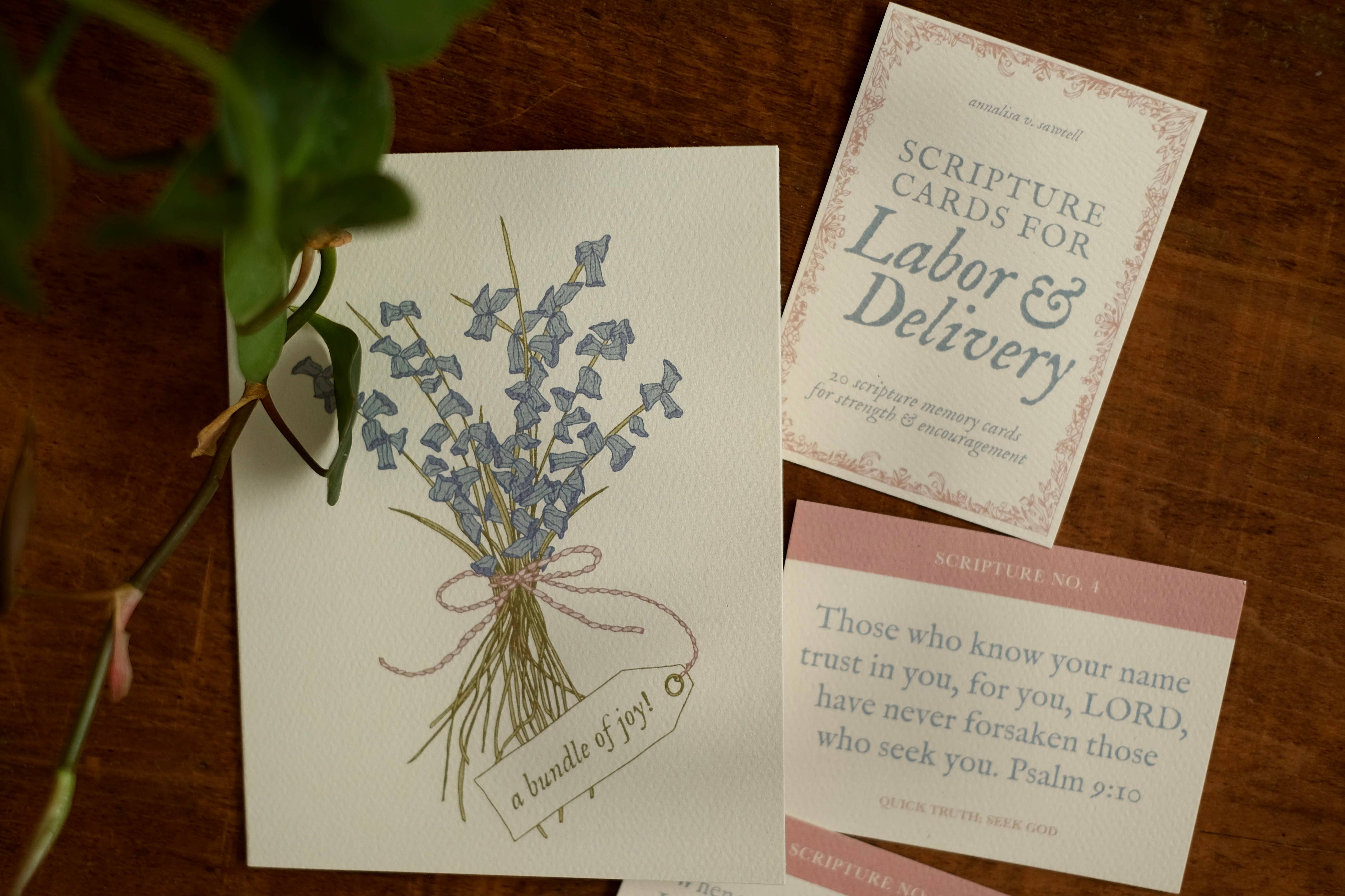 annalisa v. sawtell - Wholesale Stationery/Notecard Set - Scripture Cards for Labor & Delivery (Set of 20) | Christian1