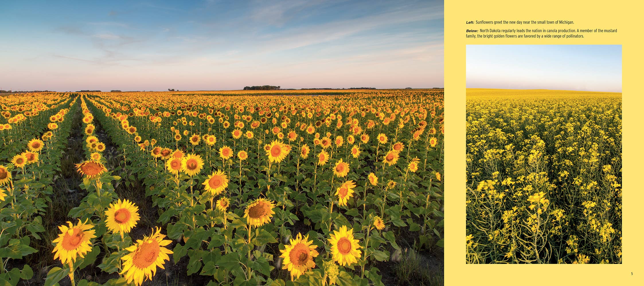 Farcountry Press - Wholesale Travel - North Dakota: A Photographic Journey1