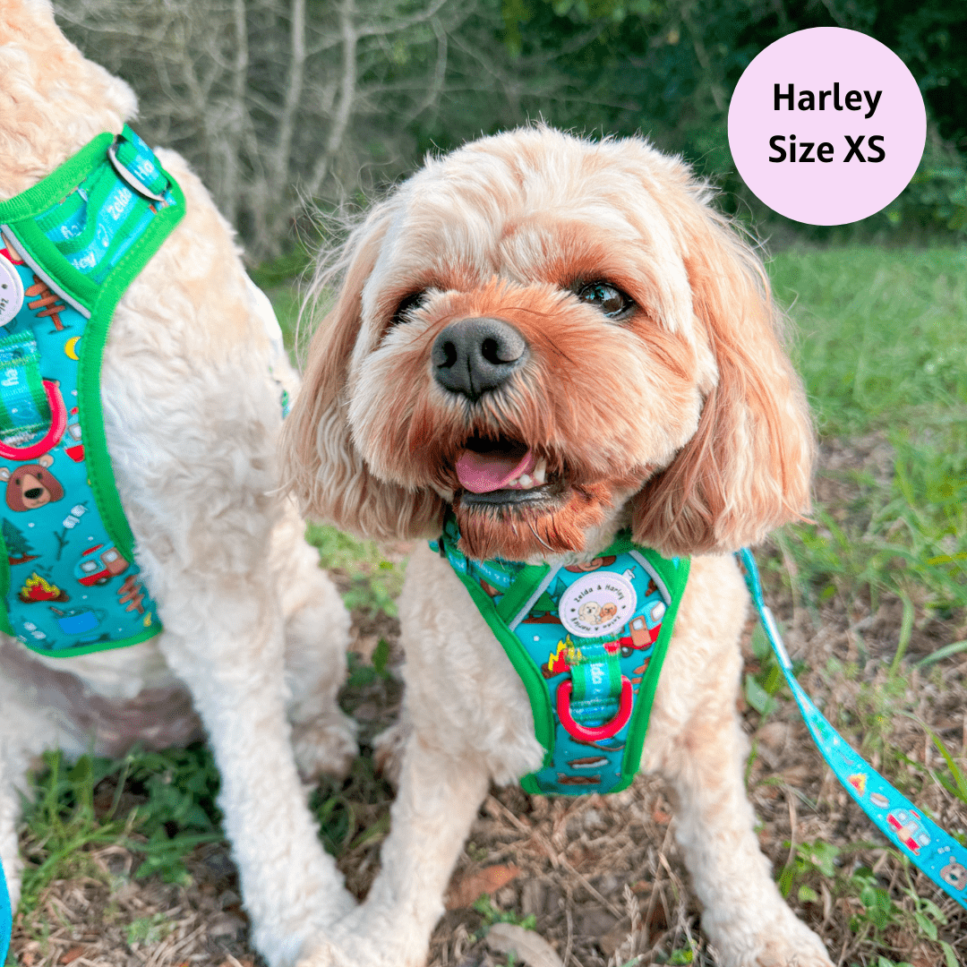 Zelda & Harley | The Dog Mom Store - Wholesale Pet Harness - Dog - Bark Ranger - Adventure No Pull Harness4