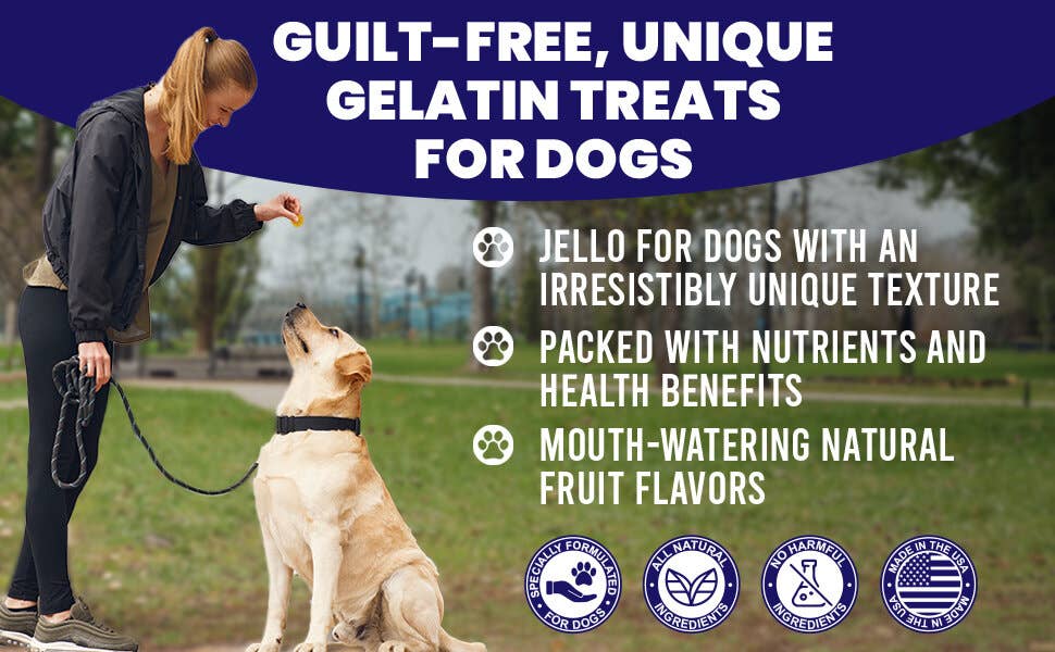 SodaPup Dog Toys - Wholesale Chocolate/Candy Mold - Dogtastic Jelly Shots Silicone Mold - Bone Shape7