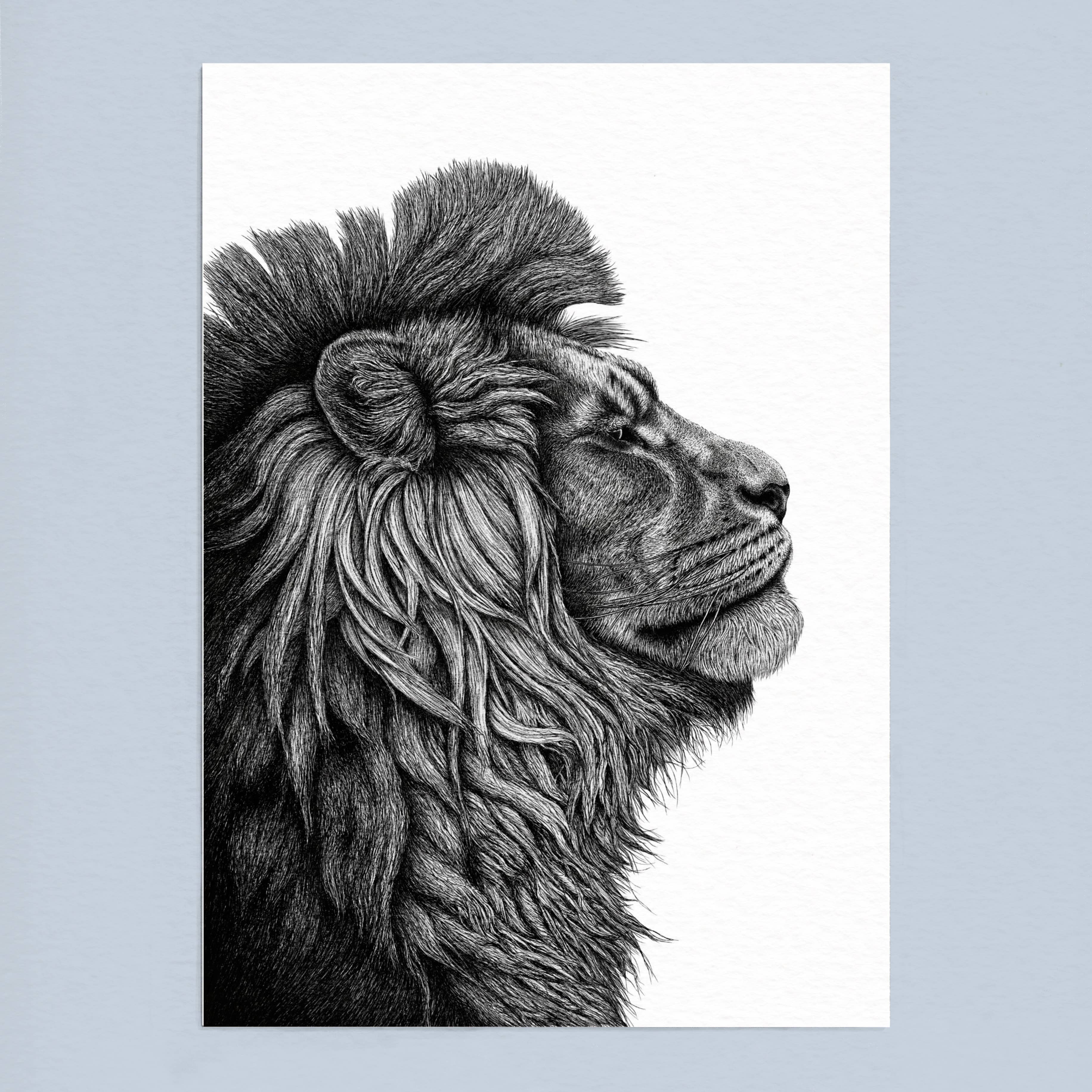Wild Lines - Wholesale Art Print - Black and White Animal Art Print - Stylish A4 Lion Wall Art3