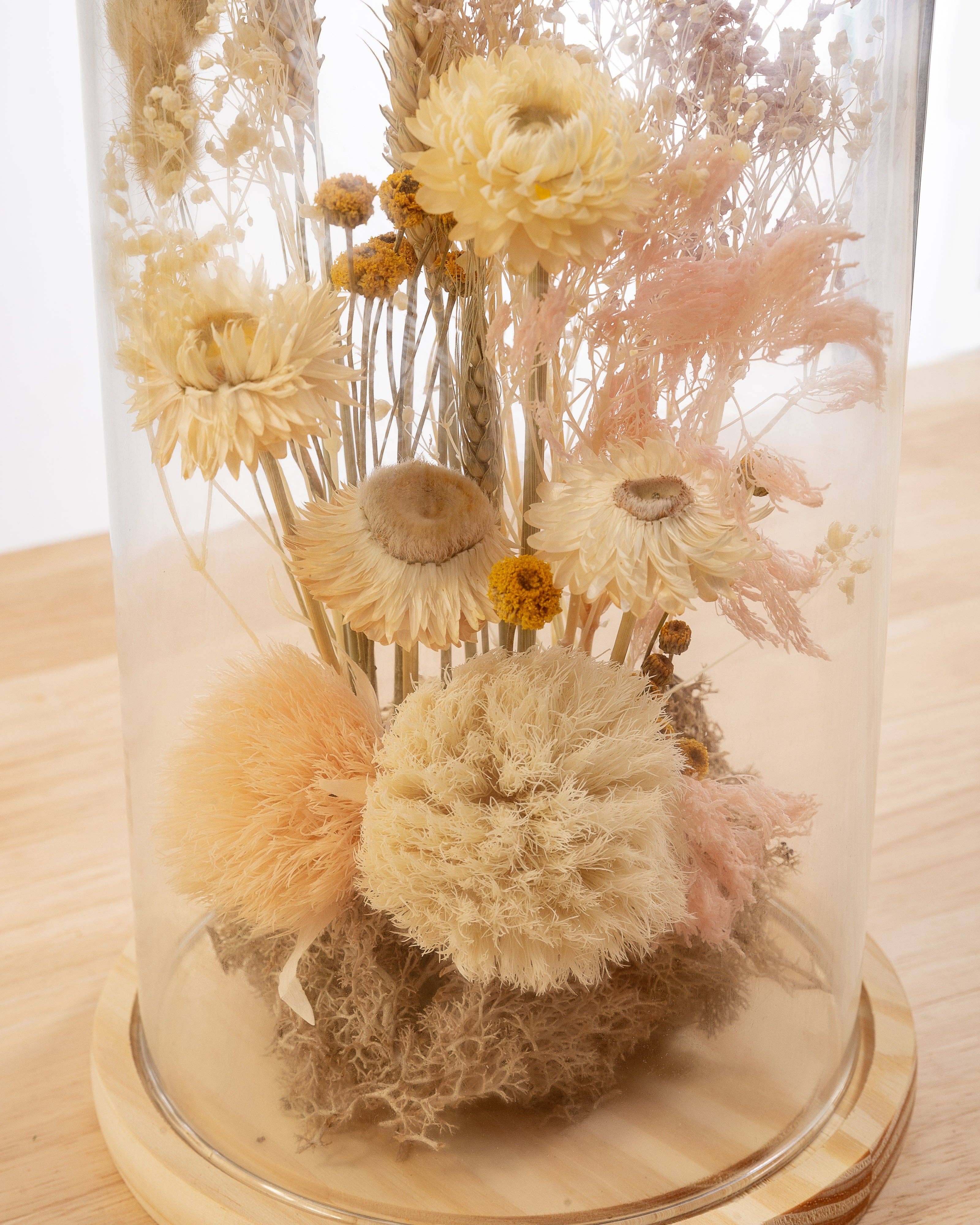 Concari.flores Preservadas - Vendita all'ingrosso Fiori secchi/pressati - CUPOLA SILVESTRE CON FIORI E VERDURE SECCHI E CONSERVATI2