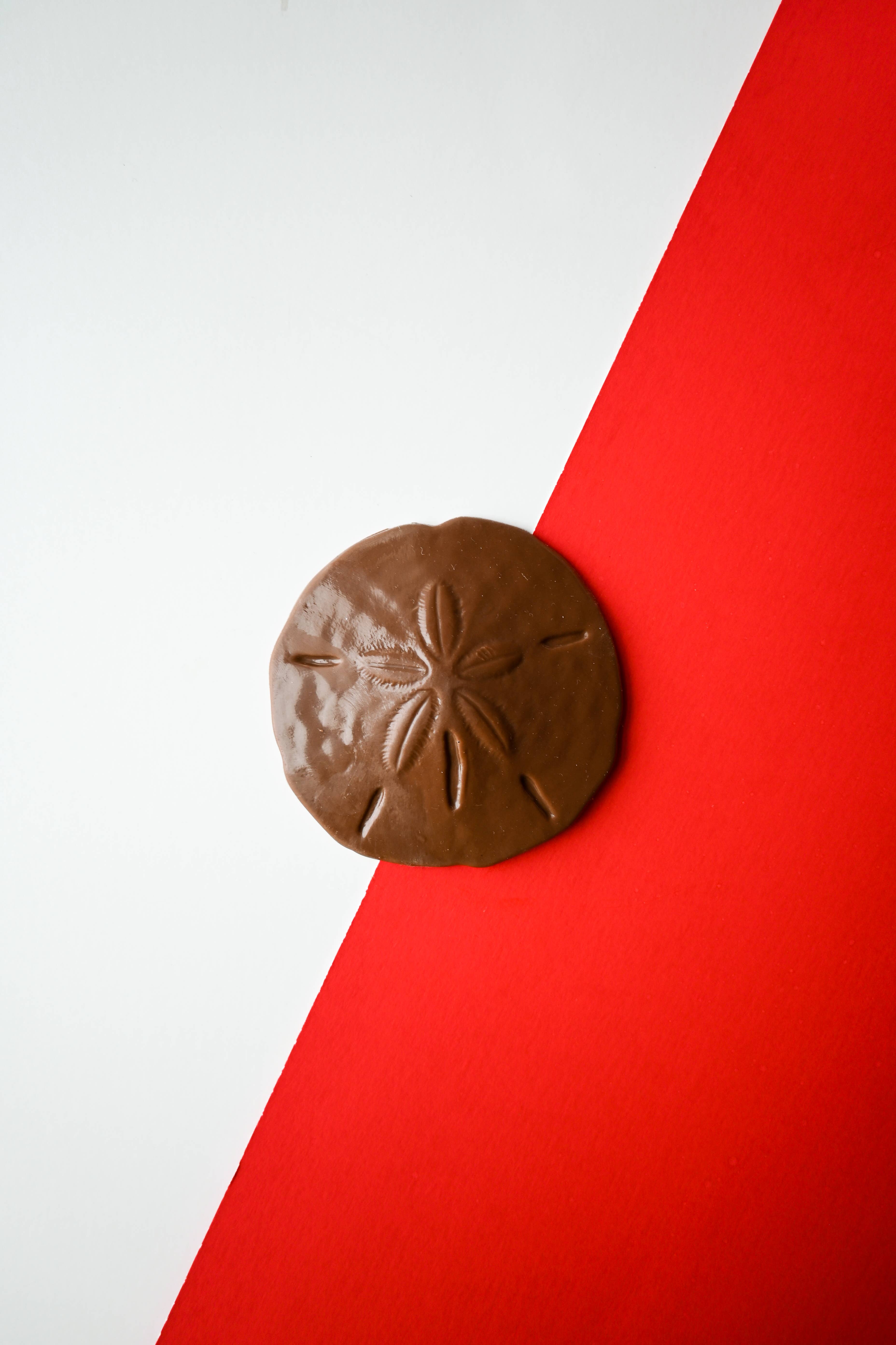 St Simons Sweets - Wholesale Chocolate - Mallery Street Sand Dollar