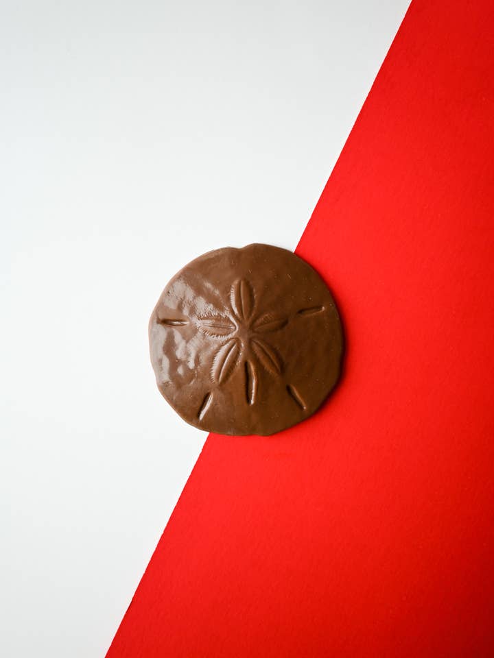 Mallery Street Sand Dollar per la vendita all'ingrosso da parte di St Simons Sweets