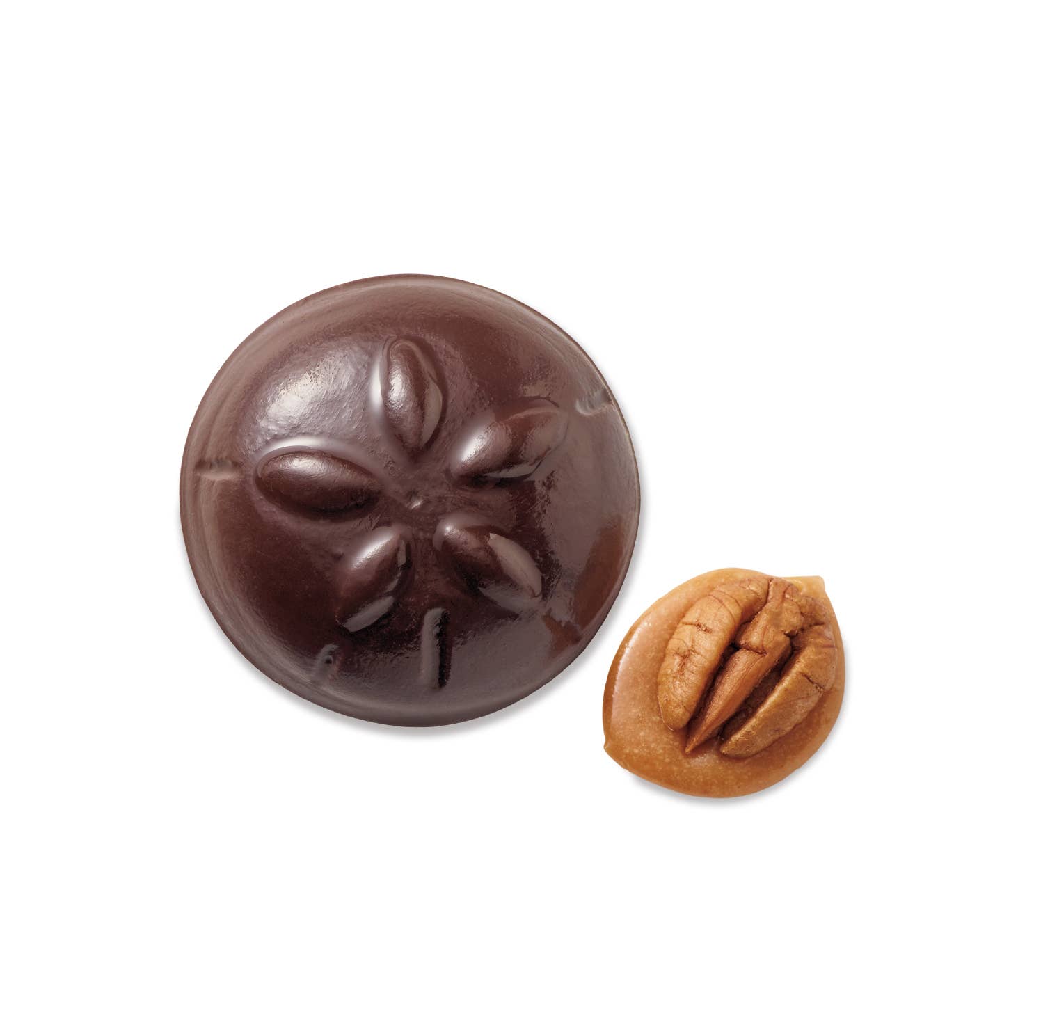 Harbor Sweets Chocolates - Wholesale Chocolate - Harbor Sweets Chocolate 45 Pcs Sand Dollars Bulk box foiled