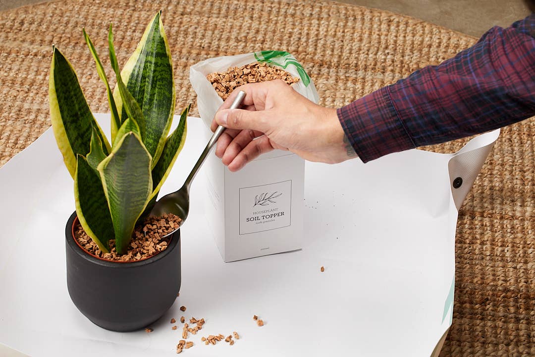 Generosa - Wholesale Planting/Potting Soil - NATURAL MULCH | Soil Topper Cork Granules 1000 ml6