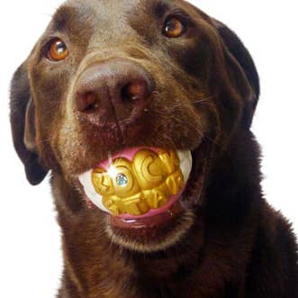 MOODY PET - Wholesale Pet Chew Toy - Dog - Humunga Bling - Durable Rubber Pet Chew Toy for Dogs