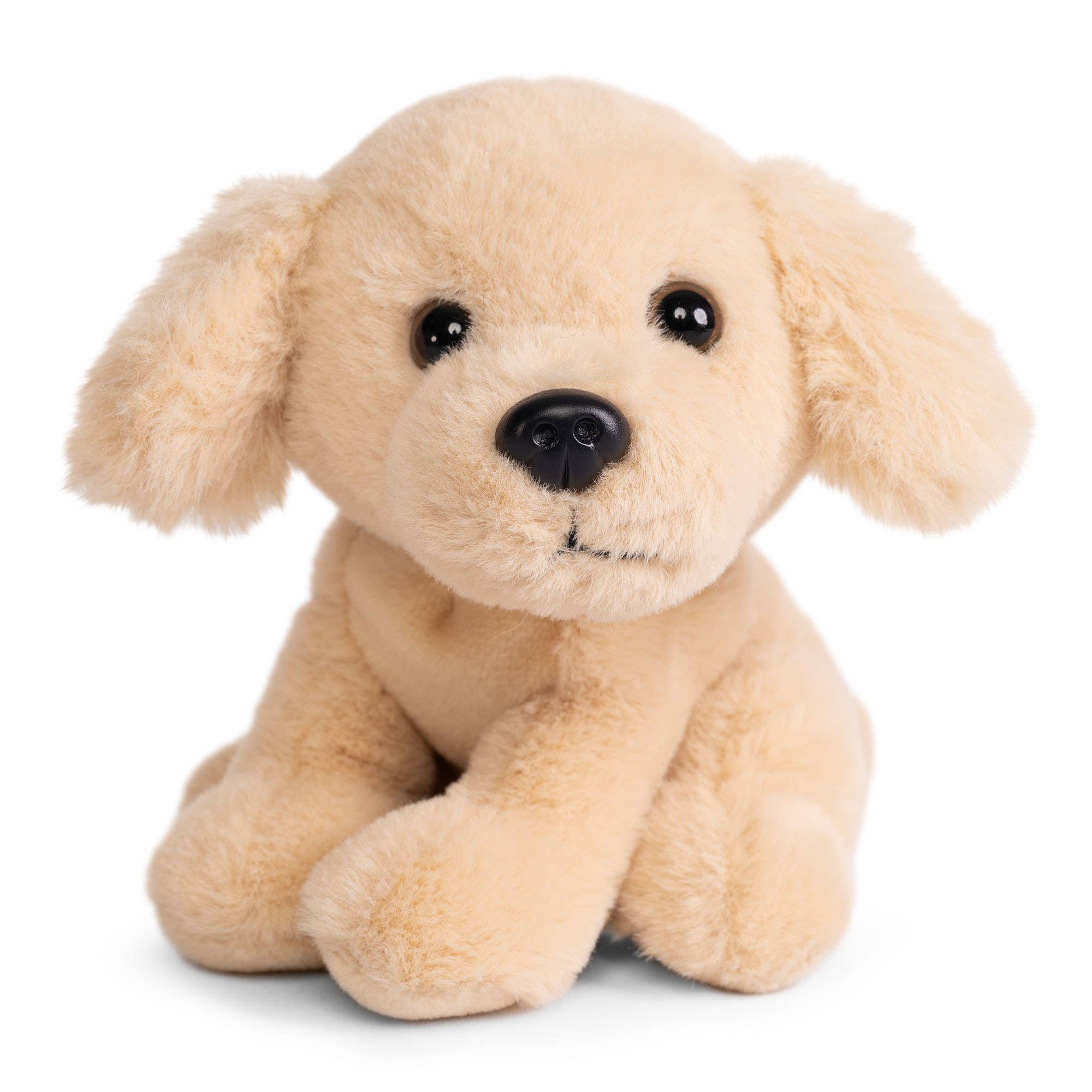 Keycraft - Vente Peluche – enfant et bébé - Petite collection de peluches chiens Nature Vivante3