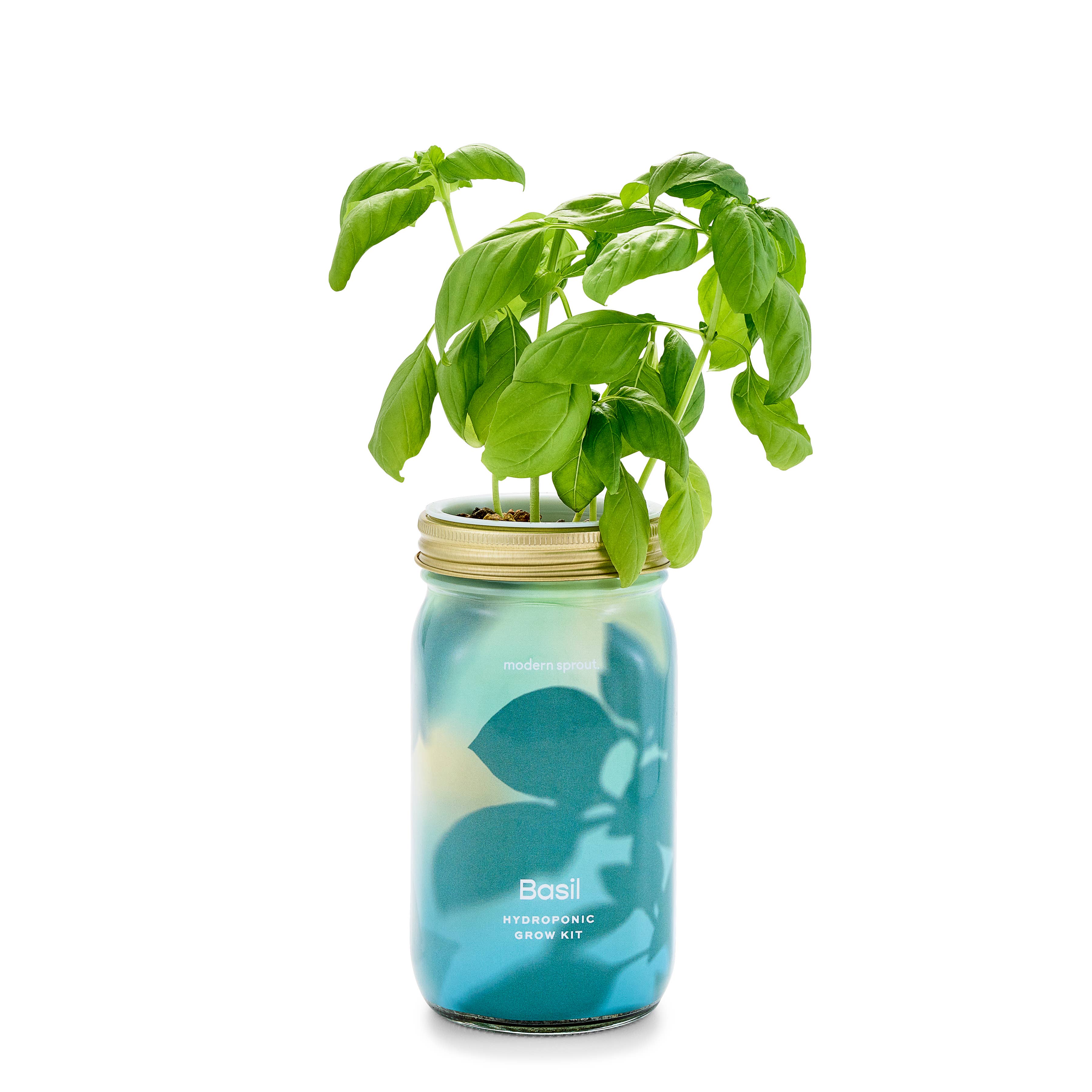 Modern Sprout - Wholesale Plant Pot - Herb Garden Jar17