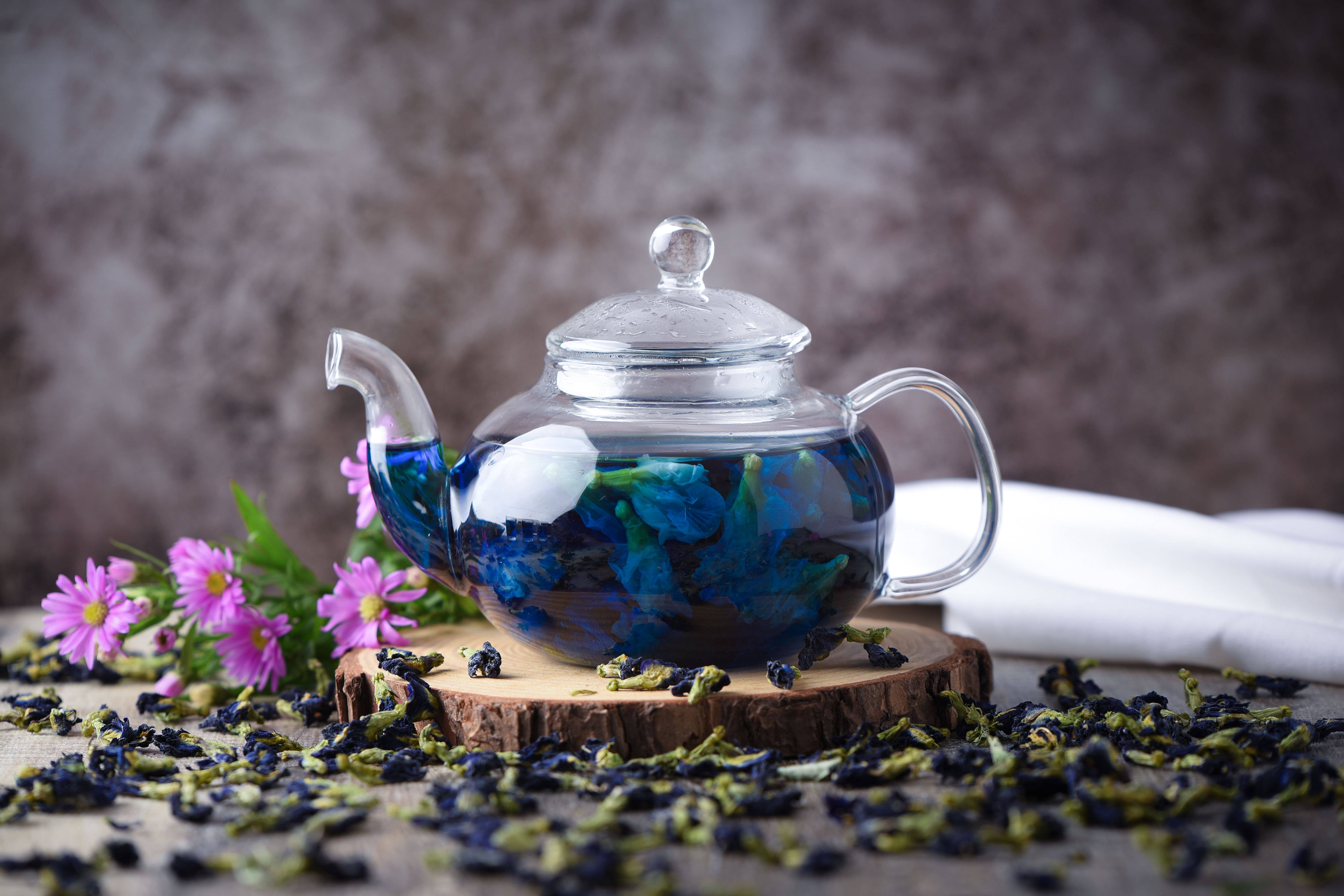 Terralux LLC - Wholesale Loose Tea - Butterfly Pea Flower Tea3