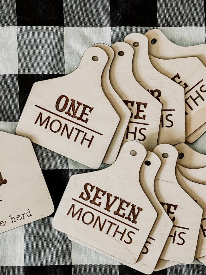 Étiquettes mensuelles des étapes de bébé pour la vente par Birchwood Laser & Design
