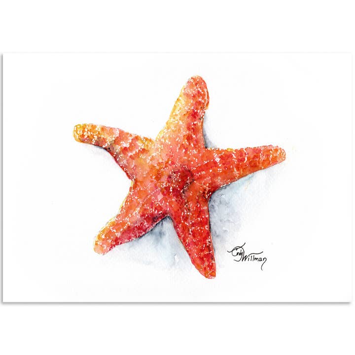 Orange Starfish for wholesale by Moonlight & Grace