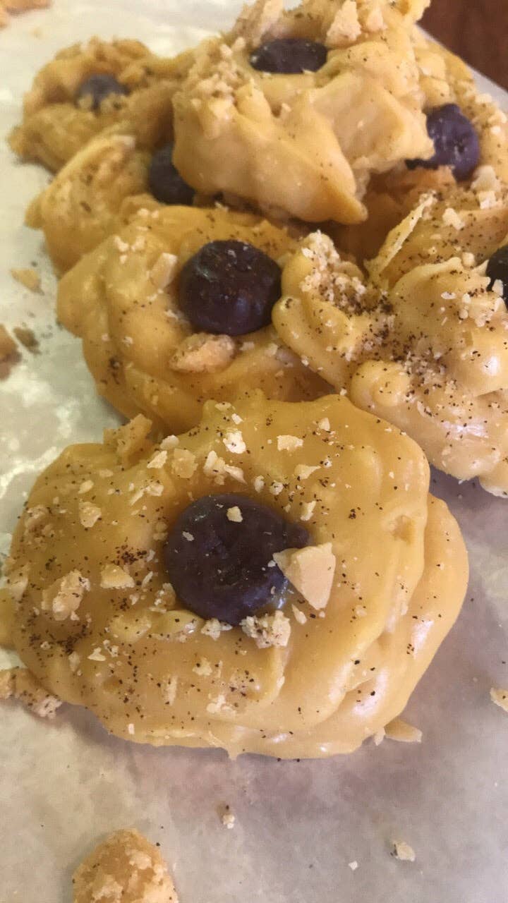 Frog on a Limb Primitives - Wholesale Wax Melt - Single Cookie wax melts3