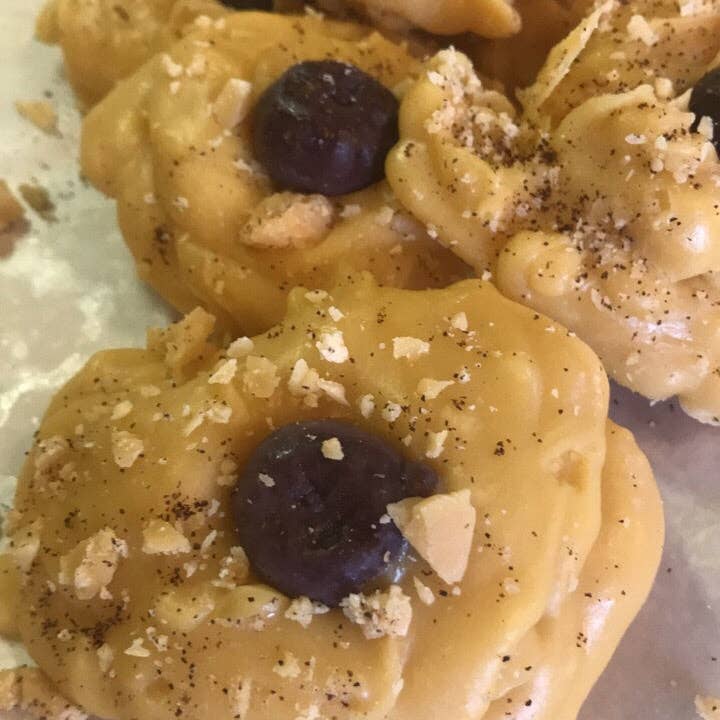 Frog on a Limb Primitives - Wholesale Wax Melt - Single Cookie wax melts3