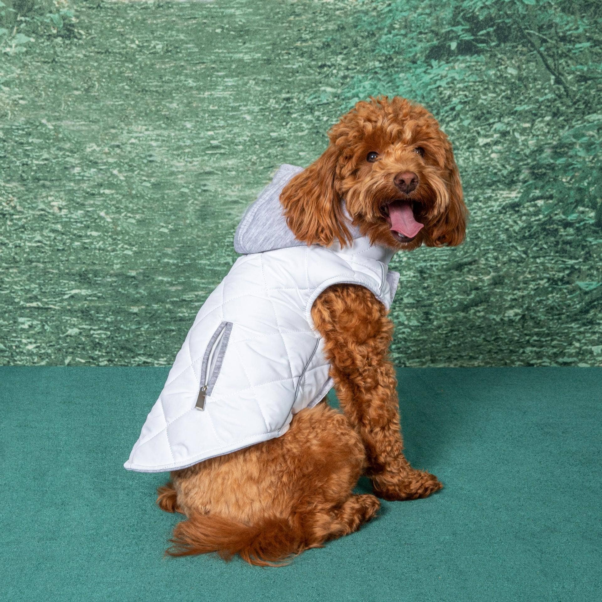Doggie Design – wholesale Pet hoodie – Dog – Weekender Dog Sweatshirt Hoodie - White3