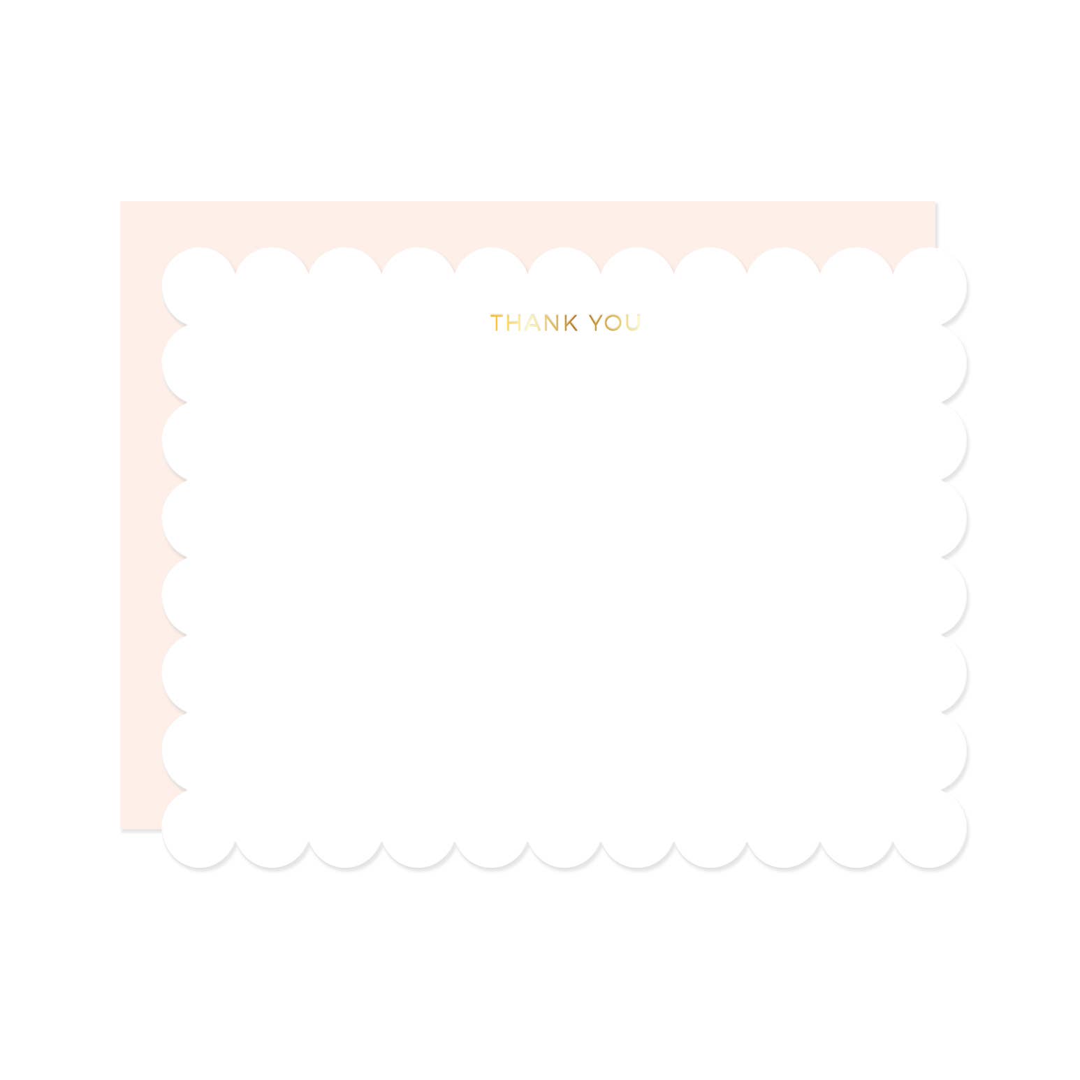 Missive - Wholesale Stationery/Notecard Set - Thank You Scallop Note Set | Gold Foil Stationery0