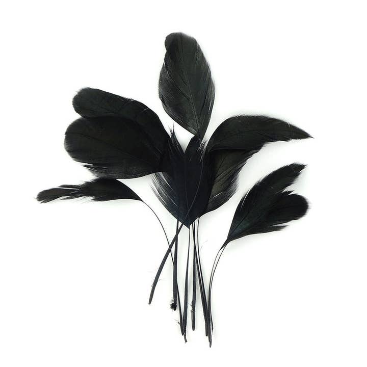 Coque rayée irisée Loose Feathers - Noir pour la vente par Zucker Feather Products