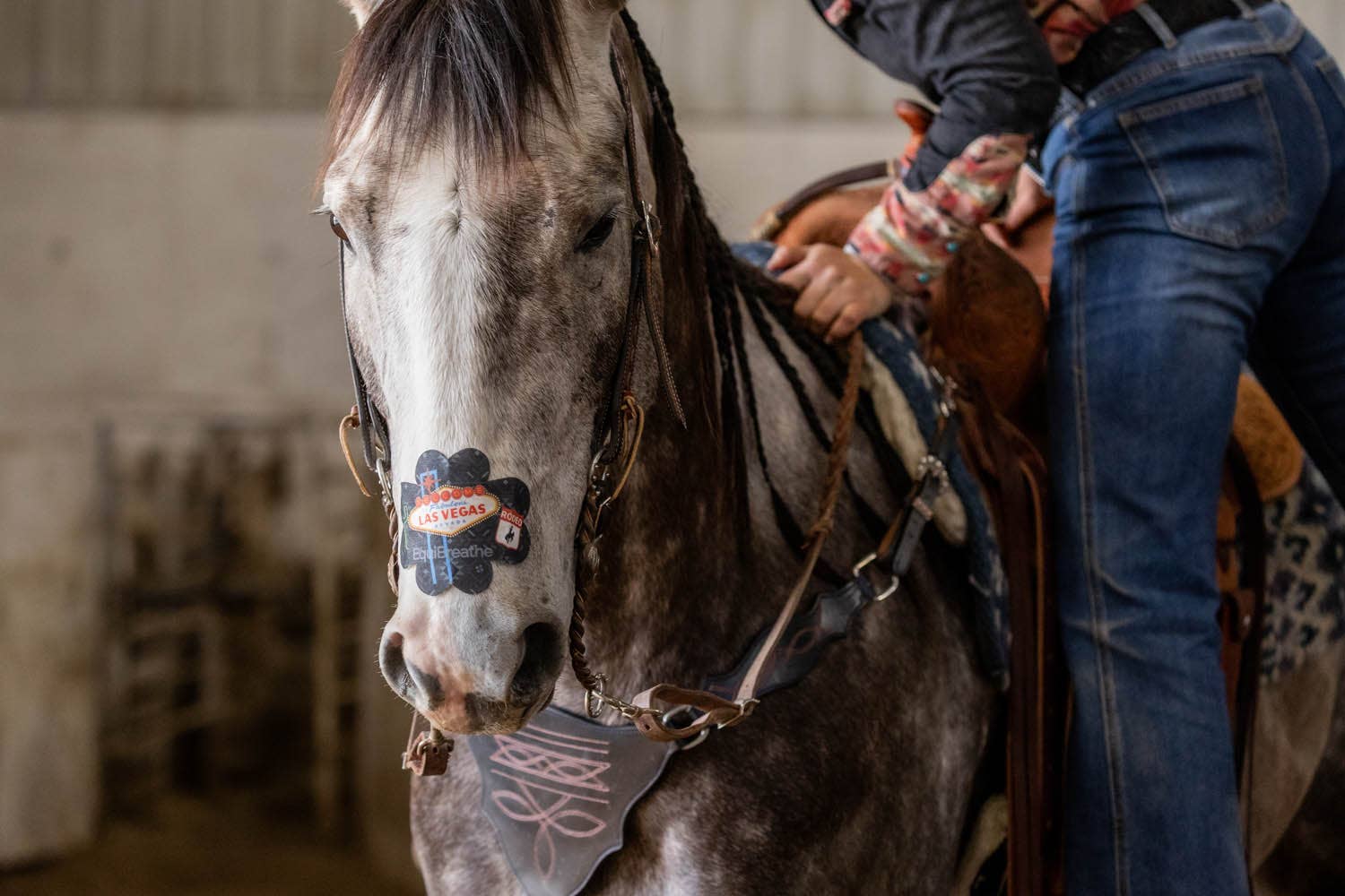 EquiBreathe™ – Equipamento de equitação por atacado – EquiBreathe™ Adesivo Nasal Equino - Vegas7