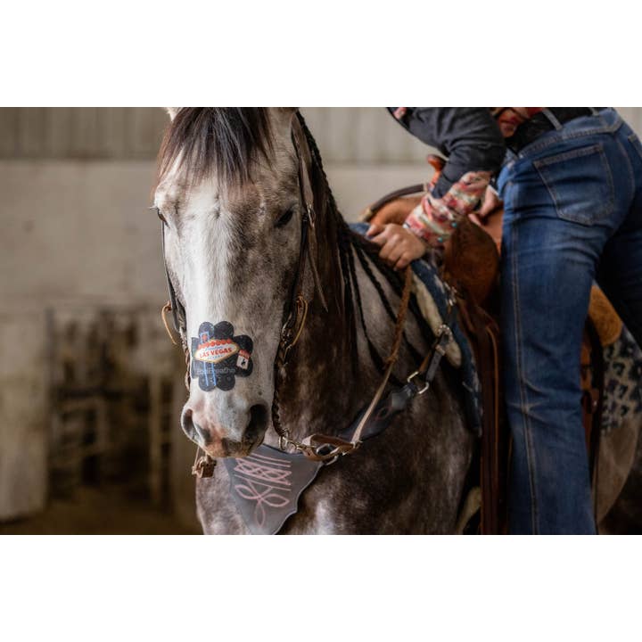EquiBreathe™ – Equipamento de equitação por atacado – EquiBreathe™ Adesivo Nasal Equino - Vegas7