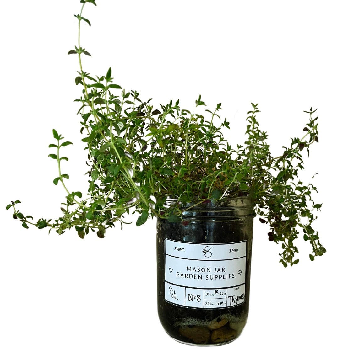 Coco and Seed - Wholesale Plant Seeds - Mason Jar Indoor Herb Garden Supplies Kit with jar9