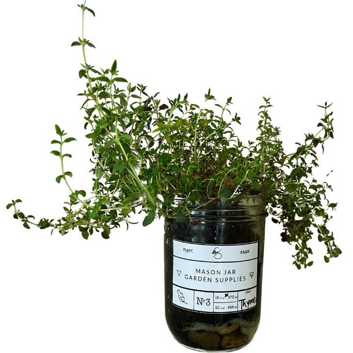 Coco and Seed - Wholesale Plant Seeds - Mason Jar Indoor Herb Garden Supplies Kit with jar9