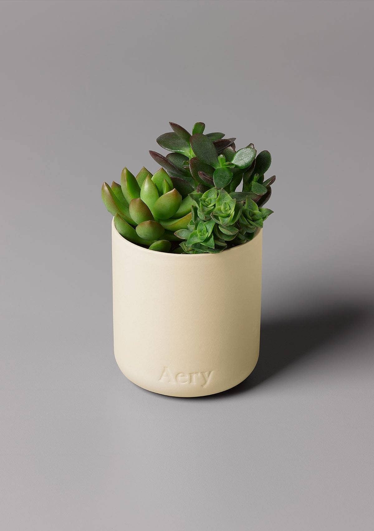 Aery Living – wholesale Burkljus – Himalaya Cederblad Doftljus2