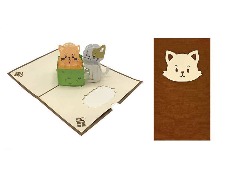 RF Distribution - Wholesale Everyday Greeting Card - Kittens Surprise Origami Card in Gift Box2
