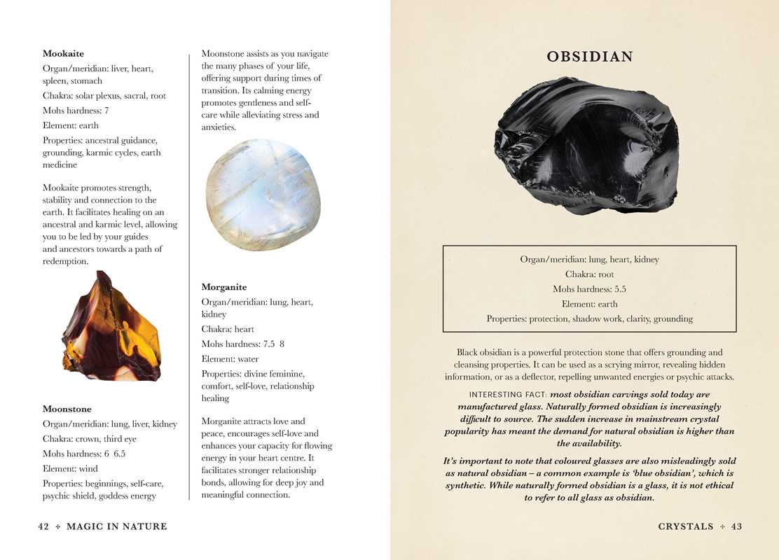 Simon & Schuster - Wholesale Body, Mind & Spirit - A Practical Guide to Magic in Nature by Jessica Lahoud8