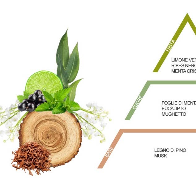 Be Fragrances - Wholesale Fragrance Set - Wild Mint Room Fragrance2