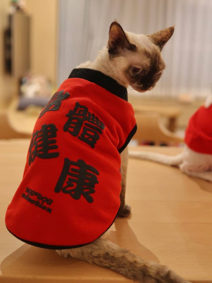 T-shirt réversible CNY Bonne Santé S427 pour la vente par Dandy's Pawsome