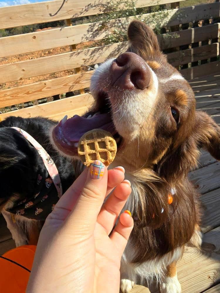 Big Sky Barkery - Vente Friandises – chien - Woofles1