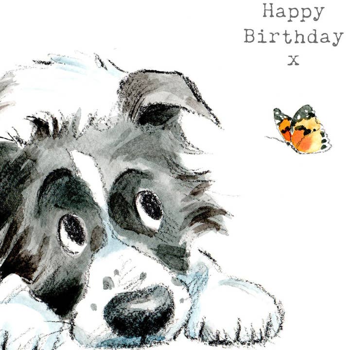 Paper Shed Design Ltd - Vendita all'ingrosso Biglietti di auguri - Biglietto di compleanno con simpatico cane, collie bianco e nero3