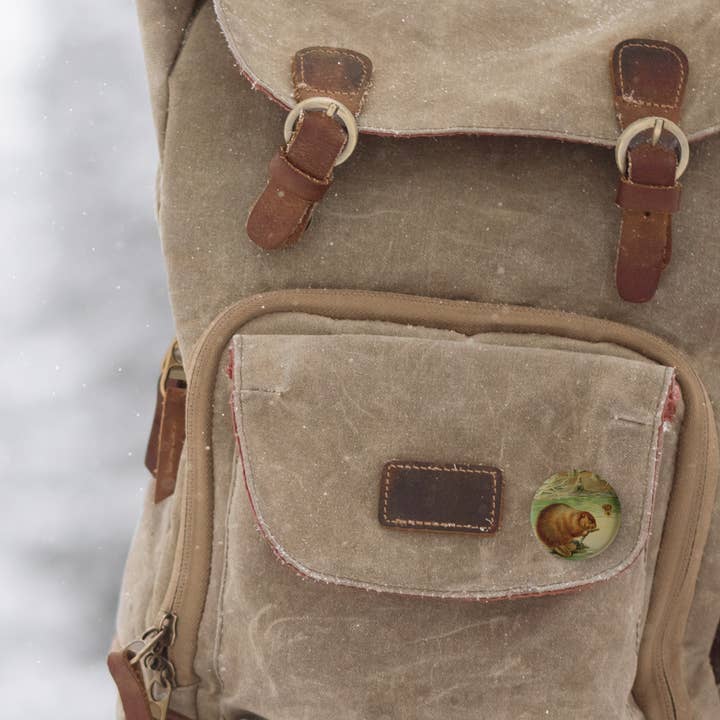 NatureCuts - Wholesale Lapel Pin/Button - Beaver Pin Button, Beaver Keychain, Beaver Magnet6