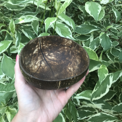 Panda & Coco – wholesale Bowl – Coconut Bowl with spoon7