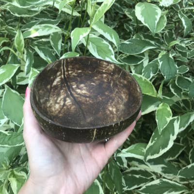 Panda & Coco – wholesale Bowl – Coconut Bowl with spoon7