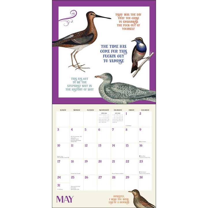 Simon & Schuster - Wholesale Calendar - Effin' Birds 2026 Wall Calendar by Aaron Reynolds2