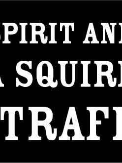 Sticker-My spirit animal is a squirrel in traffic. for wholesale by Ephemera