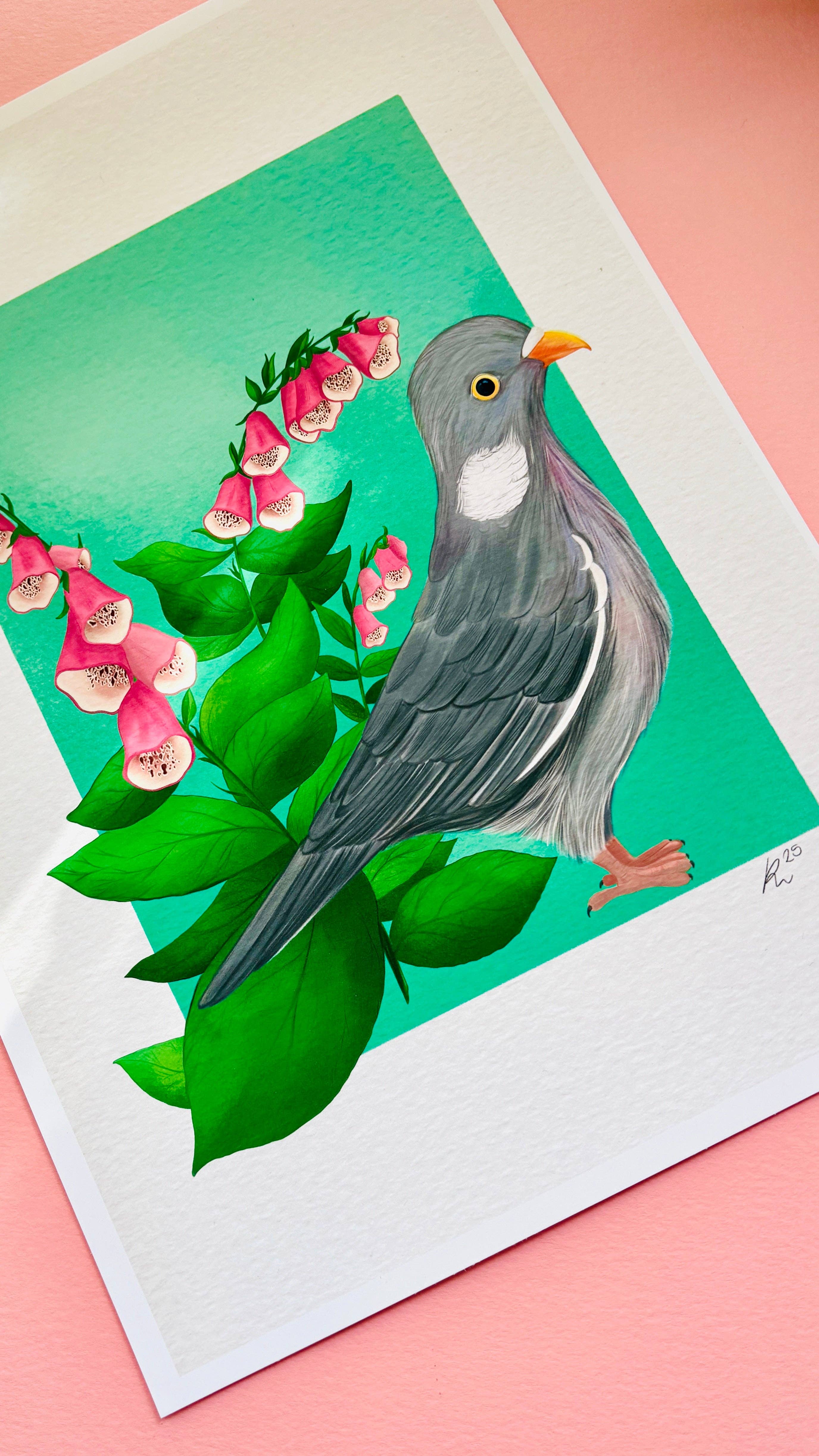 Pixiecraft - Wholesale Art Print - Wood Pigeon Art Print- British Wildlife Illustration7