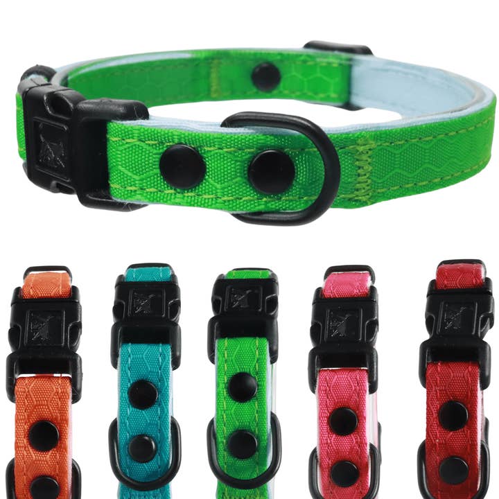 Outdoor Bengal - Wholesale Pet Collar - Cat - Durable Break-Away Cat Collar1