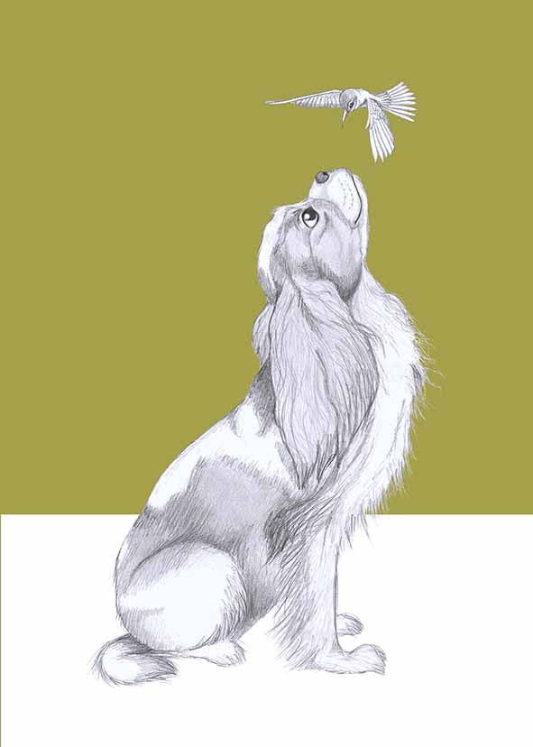 I AM NIEN - Wholesale Everyday Greeting Card - Cavelier king charles spaniel2