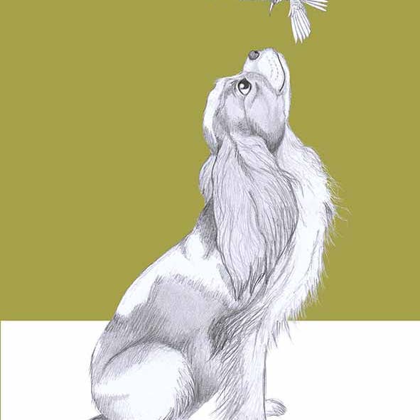I AM NIEN - Wholesale Everyday Greeting Card - Cavelier king charles spaniel2