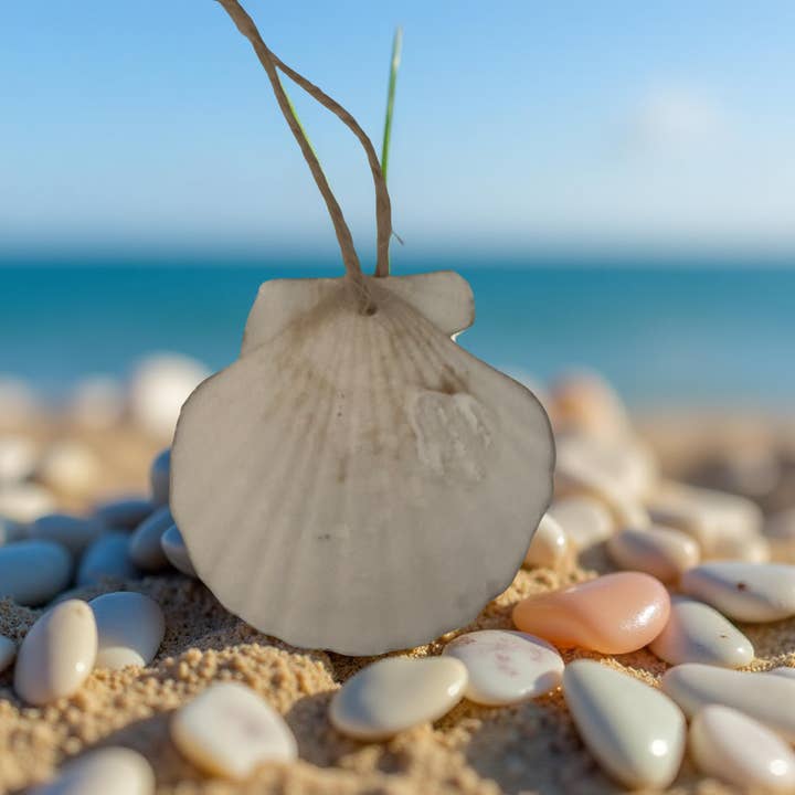 Shell Yeah By Jaks LLC - Wholesale Ornament - Tartan Plaid Scallop Shell Ornament – Gold Rim1