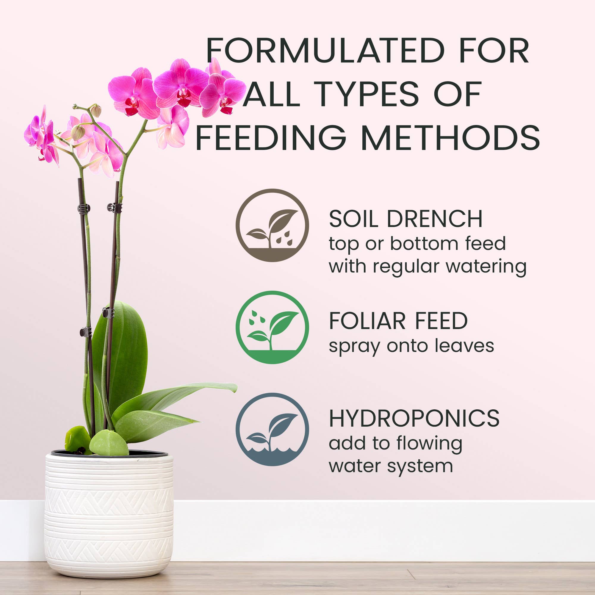 Purived - Wholesale Fertilizer - Purived Orchid Food – 16fl oz of Concentrated Fertilizer4